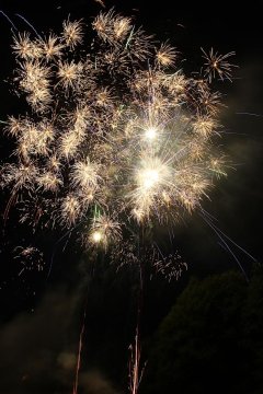 t_IMG_5412.jpg